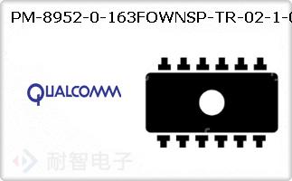 PM-8952-0-163FOWNSP-TR-02-1-01ͼƬ