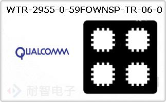 WTR-2955-0-59FOWNSP-TR-06-0