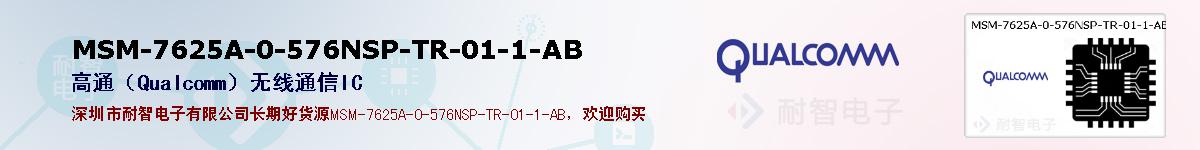 MSM-7625A-0-576NSP-TR-01-1-ABıۺͼ