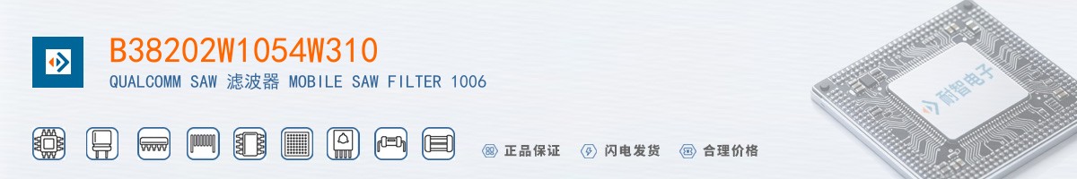 B38202W1054W310������