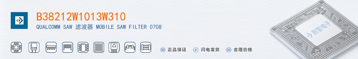 B38212W1013W310������