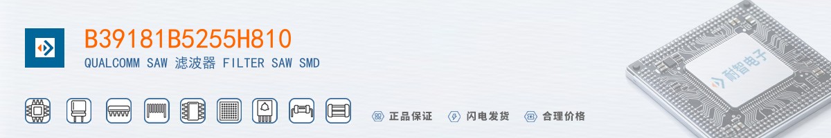 B39181B5255H810������