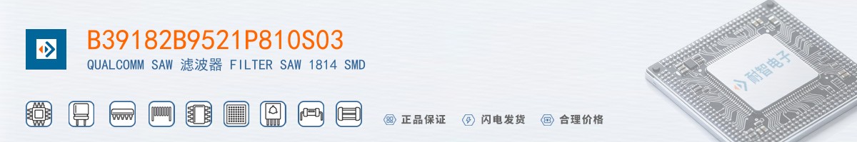 B39182B9521P810S03������