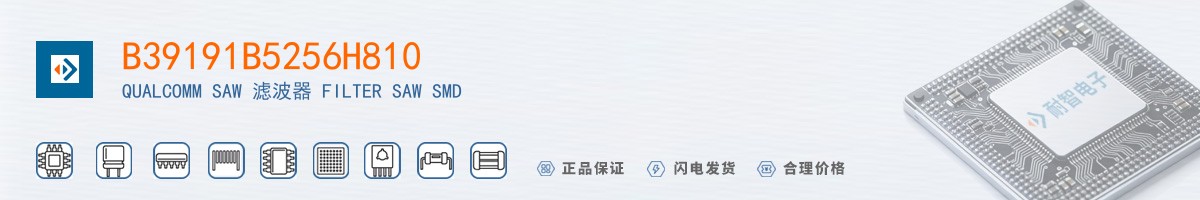 B39191B5256H810������