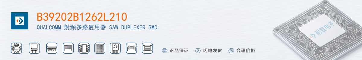 B39202B1262L210������