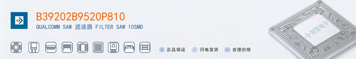 B39202B9520P810������