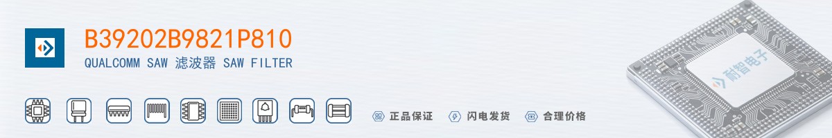 B39202B9821P810������