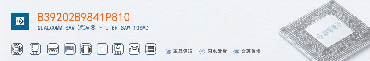 B39202B9841P810������