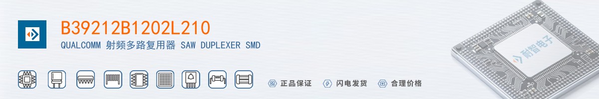 B39212B1202L210������