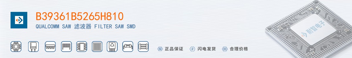 B39361B5265H810������