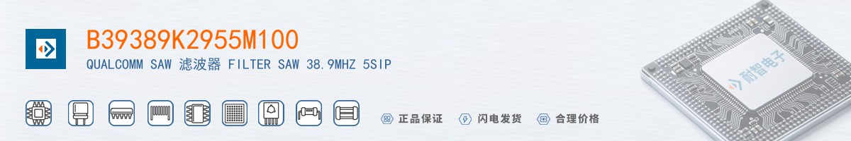 B39389K2955M100������