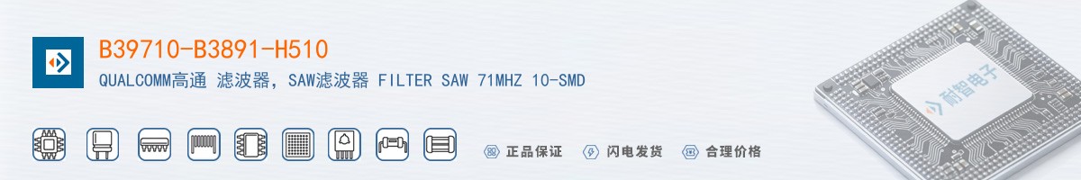 B39710-B3891-H510������