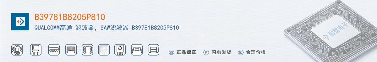 B39781B8205P810������