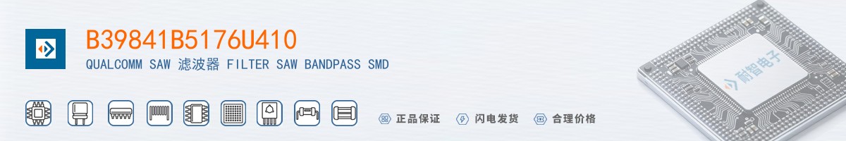 B39841B5176U410������