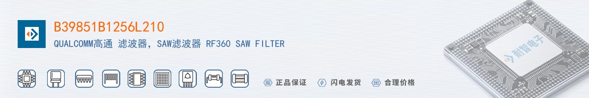 B39851B1256L210������