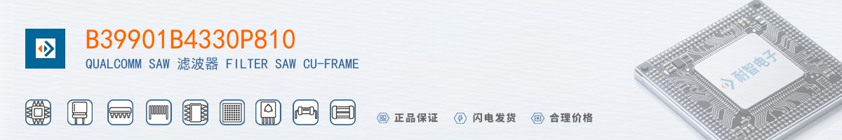 B39901B4330P810������