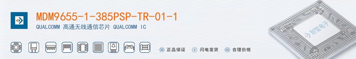 MDM9655-1-385PSP-TR-01-1������