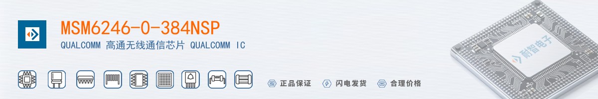 MSM6246-0-384NSP������