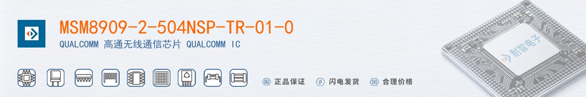 MSM8909-2-504NSP-TR-01-0������