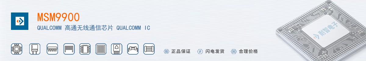 MSM9900������