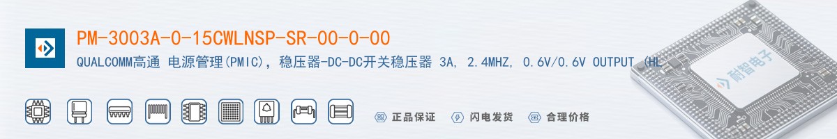 PM-3003A-0-15CWLNSP-SR-00-0-00������