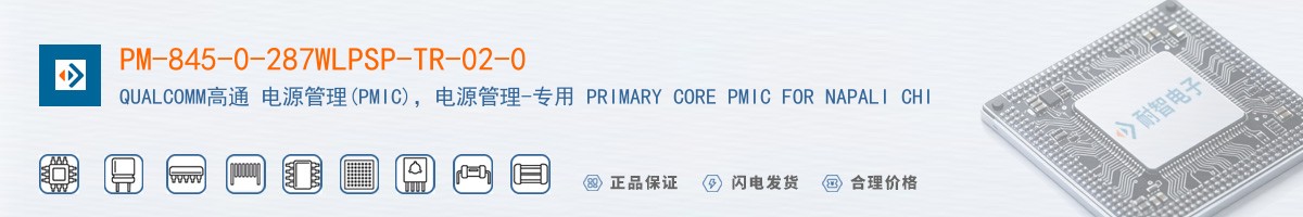 PM-845-0-287WLPSP-TR-02-0������