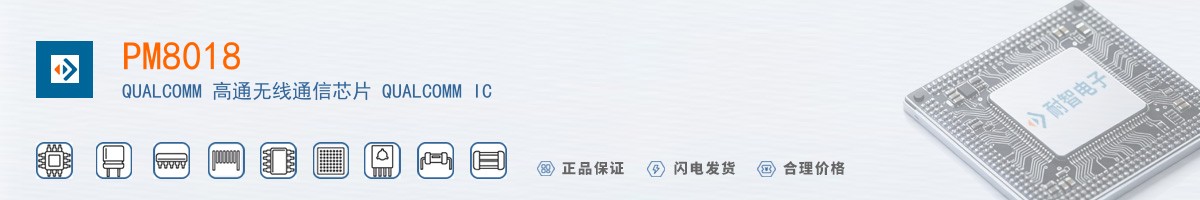 PM8018������