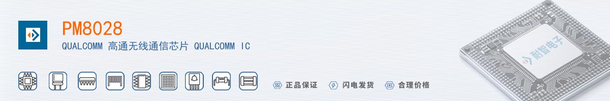 PM8028������