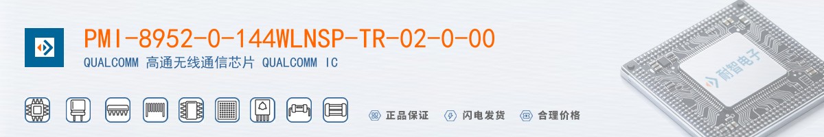 PMI-8952-0-144WLNSP-TR-02-0-00������