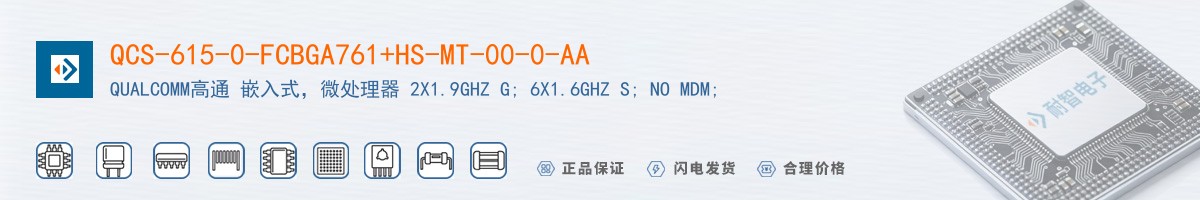 QCS-615-0-FCBGA761+HS-MT-00-0-AA������
