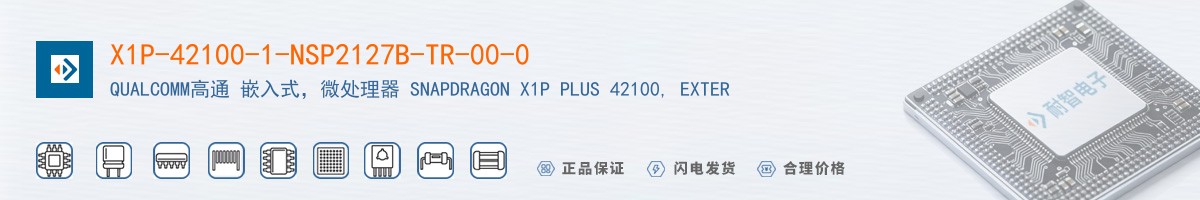 X1P-42100-1-NSP2127B-TR-00-0������