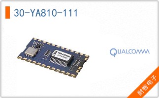 30-YA810-111