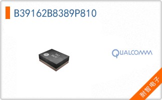 B39162B8389P810
