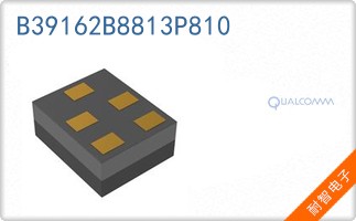 B39162B8813P810