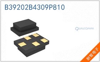 B39202B4309P810