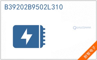 B39202B9502L310