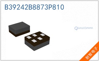 B39242B8873P810