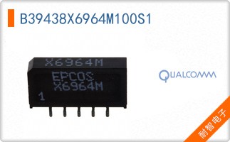 B39438X6964M100S1