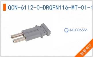 QCN-6112-0-DRQFN116-MT-01-1